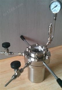 普林塞斯-不锈钢  高压反应器