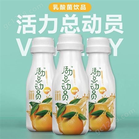 乳酸菌饮品甜橙味333ml*10整箱销售乳味饮料