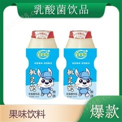 机灵兔乳酸菌原味100ml乳味发酵饮品儿童饮料