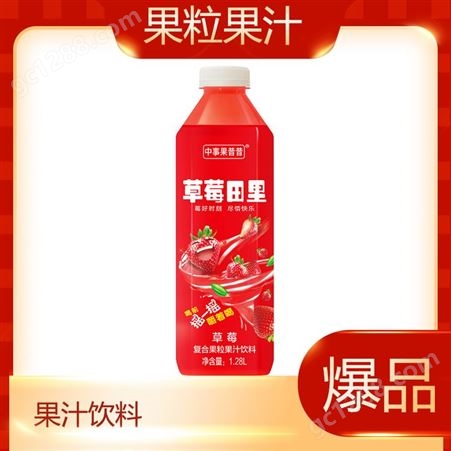 复合果粒果汁餐饮1.28LX6瓶大瓶夏季饮品商超渠道