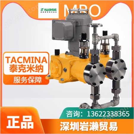 日本TACMINA泰克米纳平滑计量泵型号XPL-003-145