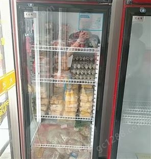 BL-300/500 /600防爆冷藏柜 冰柜定制大容量家 工厂 超市专用