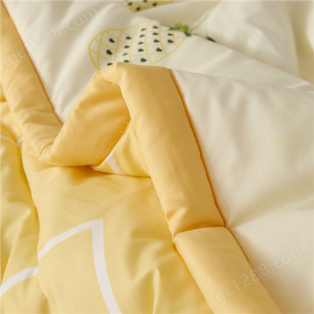 菠萝印花夏凉被定制 舒适绗缝水洗棉刺绣 夏季空调被 单位礼品可定制