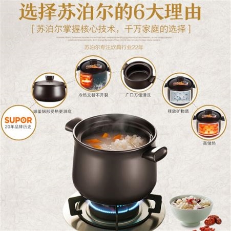 苏泊尔(SUPOR) 砂锅陶瓷煲新陶养生煲明火专用 3.5L TB35A1