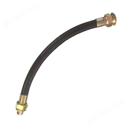 BNG-DN20*1000防爆挠性管穿线管连接管 挠性PVC软管 尺寸可定