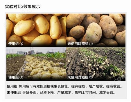 亚磷酸钾大量元素水溶肥马铃薯提质增产增甜上色肥料1L