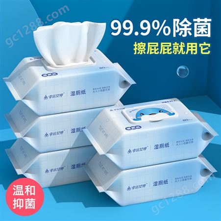 佳燕 卫生可降解湿厕纸 小包便携马桶清洁护理杀菌