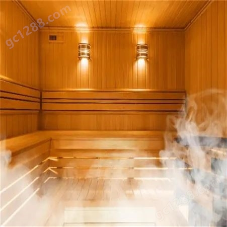 美容院用家用浴室桑拿房 小型汗蒸房湿蒸房安装承建