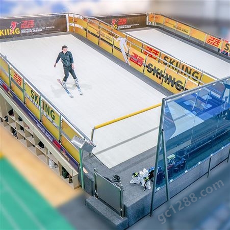 双板滑雪模拟机 室内滑雪机的一台 3D左右摇摆技术 拓承TC