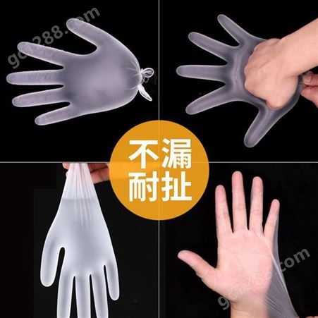 SHUR-LIFE一次性PVC手套劳保乳胶橡胶工作厨房家用透明塑料手套
