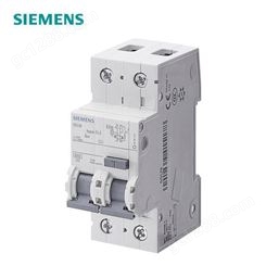 西门子5SU9 微型漏电保护断路器电闸 ELE AC 230VAC 5SU93561KK63