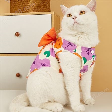 猫咪衣服蝴蝶结大花朵连衣裙彩色拼接裙子夏季薄款宠物猫猫公主裙
