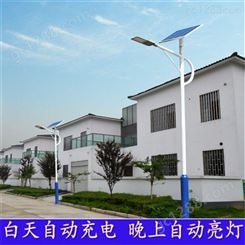 陇南 兰创能源 6米 8米农村太阳能路灯 LED锂电池二体灯